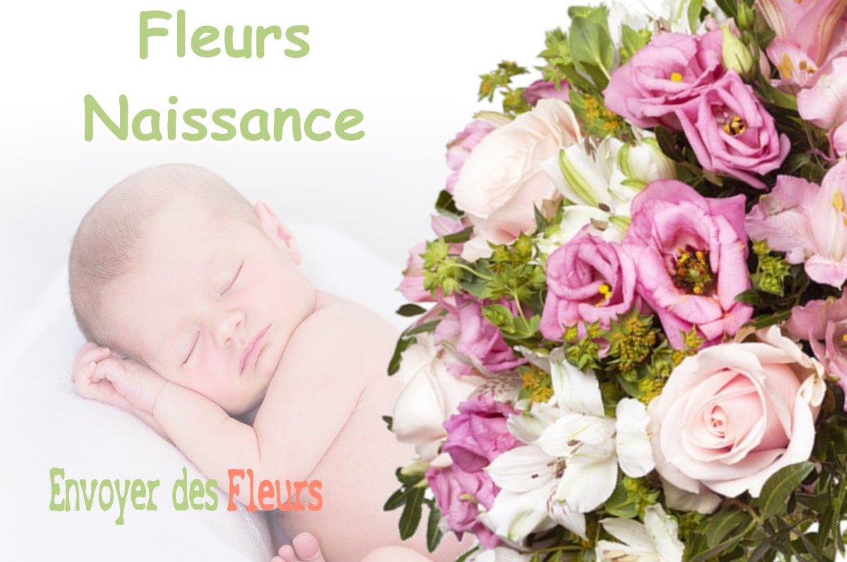 lIVRAISON FLEURS NAISSANCE à SAINT-MARTIN-DE-CLELLES